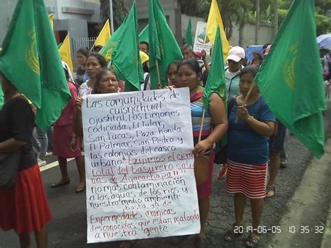 Organizaciones Marchan En Defensa Del Medio Ambiente Arpas