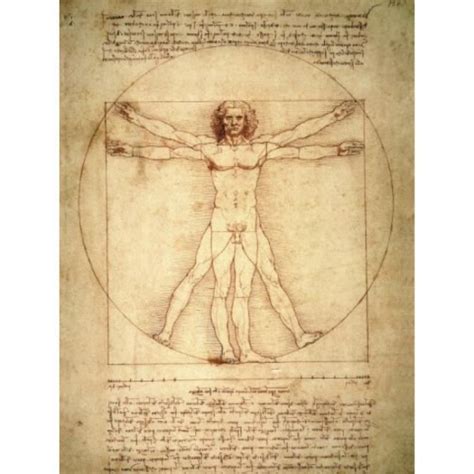 Leonardo Da Vinci Poster Reproduction Homme De Vitruve Vers 1490 80