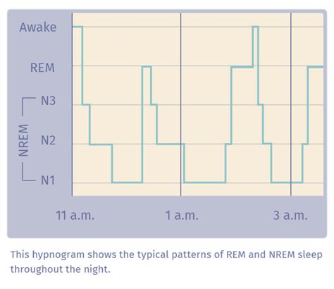 The Complete Guide To Your Sleep Cycle Mattress Clarity