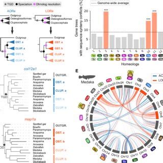 Differences In Gene Retention Selective Pressure And Gene Expression