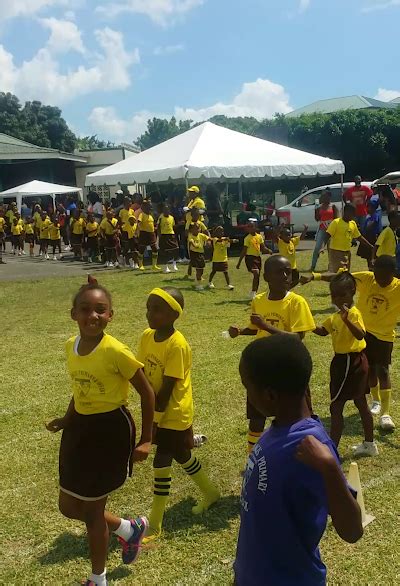 St Francis Primary And Infant School St Andrew Jamaica