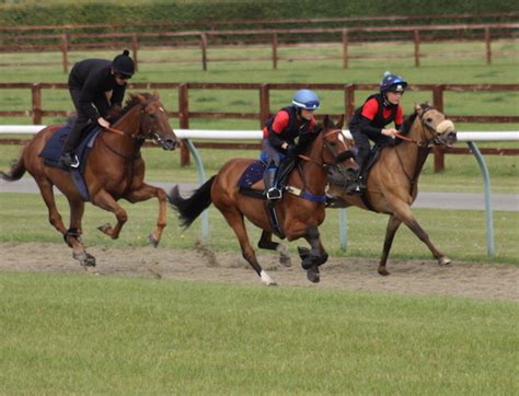 Advanced Pony Racing Training British Racing School