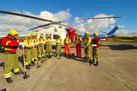 Acciones Necesarias Para Prevenir Incendios Forestales