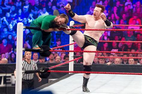 Wwe Sheamus Brogue Kick Referee