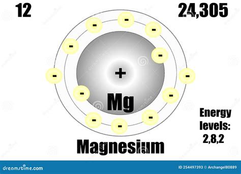 Magnesium Atom Bohr Model Cartoon Vector | CartoonDealer.com #267662111