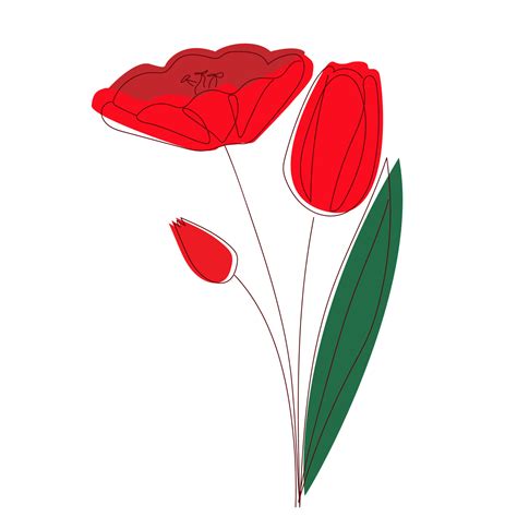 Flores De Tulipanes Rojos Vectoriales Con Silueta Delineada Aislada En