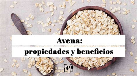 Avena Propiedades Beneficios Y Valor Nutricional Youtube