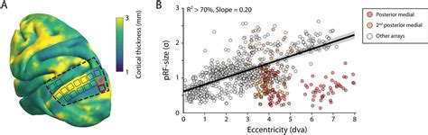 Figures And Data In Population Receptive Fields In Nonhuman Primates From Whole Brain Fmri And