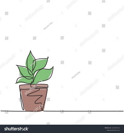 Single Continuous Line Drawing Potted Plants Stock Vector Royalty Free