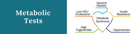 Metabolic Tests Ulta Lab Tests