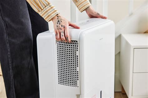 The 8 Best Dehumidifiers for Basements of 2024, Tested and Reviewed