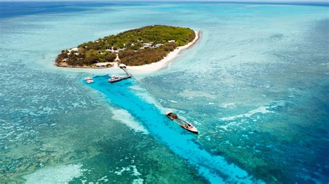 Heron Island And Sunshine Coast Tour Abfab Tours