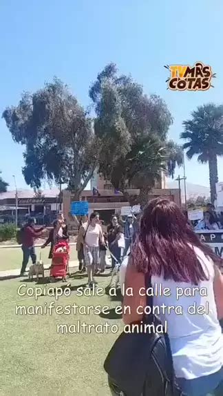 EXTRA ANIMAL Copiapó sale a la calle para manifestarse en contra del