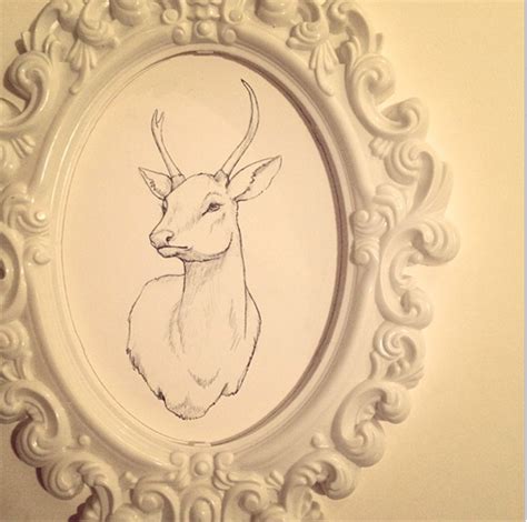 Albino Deer On Behance