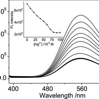 Fluorescence Spectra Of Dnsg With Different Concentrations Of Hg