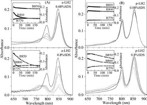 Time Series Of The Absorption Spectra Of The Light Harvesting Complex