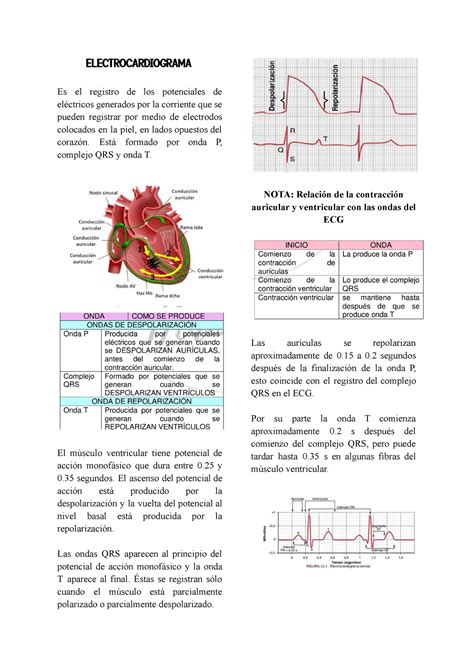 Electrocardiograma Resumen Guyton E Hall Fisiologia Medica 13 Ed