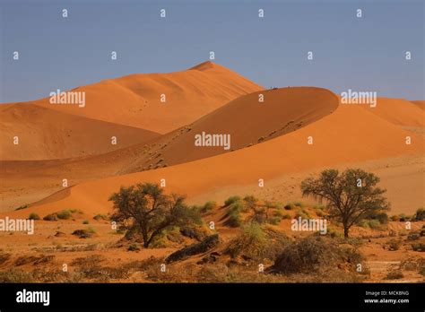 Sand Dunes of Namibia Stock Photo - Alamy