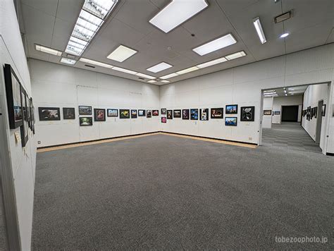 第36回愛媛県高等学校文化連盟写真展 動物写真展・掲載・例会＠愛媛県立とべ動物園にて撮影 とべ動物園 動物園写真クラブ愛媛 公式webサイト