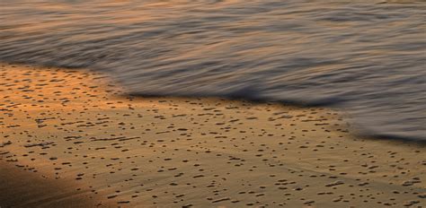 Assateague Island National Seashore Va — Jim Clark Photography