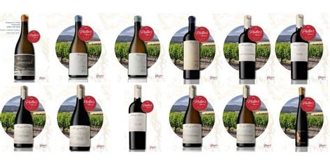 Platter S South African Wine Guide 2022 12 Featured Wines Benguela