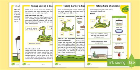 Basic Facts About Snakes Reading Comprehension