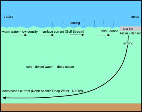 Environmentally Speaking........ - Thermohaline Circulation