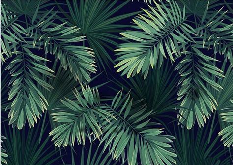 Custom Size Wallpaper Mural Tropical Rainforest Palm Leaves Bvm Home