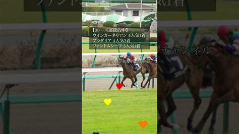 【フェブラリーs 2023】想定人気上位馬 評価abc《今年初のg1 気合max》 競馬予想 Jra フェブラリーs2023 東京競馬