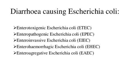 E Coli Lab Types And Laboratory Diagnosis