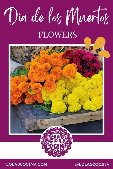 Flowers for Dia de Muertos: Symbolism and Substitutes