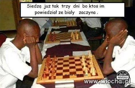 Демотиваторы-334 - Обсуждение переводов - Усадьба Урсы