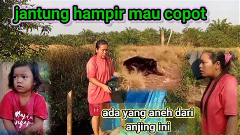 Jantung Serasa Mau Copot Karna Ini Masi Syukur Nasip Baik Youtube