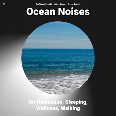 Ocean Noises For Relaxation And Sleeping Pt Song And Lyrics By