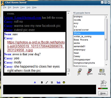 history  aol chat rooms     twenty somethings