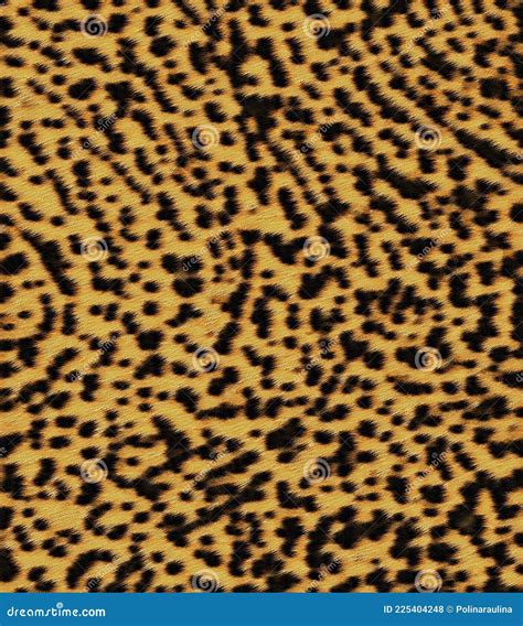 Cheetah Fur Background Pattern Texture Stock Photo Image Of Fashion