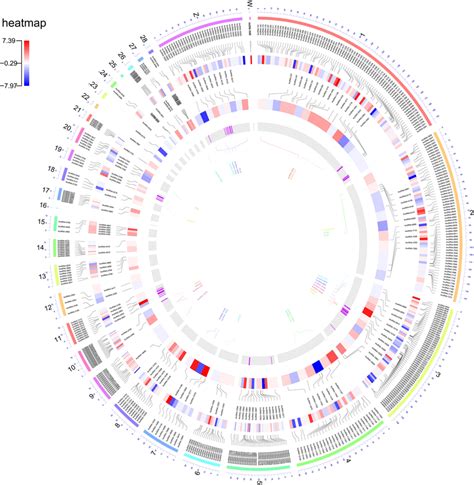 Circos Plot Represents The Genome Wide Distribution Density Of All The