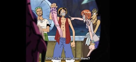 The One Piece Is Real R Cockpiece