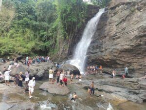 Top 4 activities to do at Soochipara Waterfalls Kerala