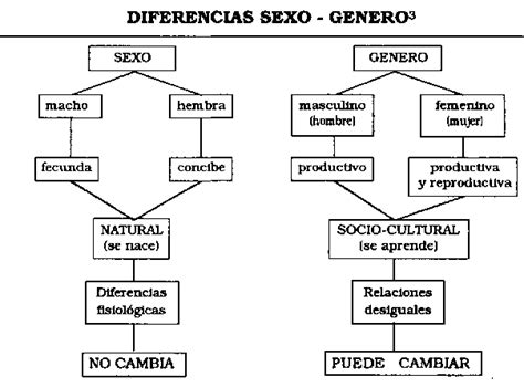 Diferenciacion Entre Mapa Conceptual Y Mapa Mental Hot Sexy Girl