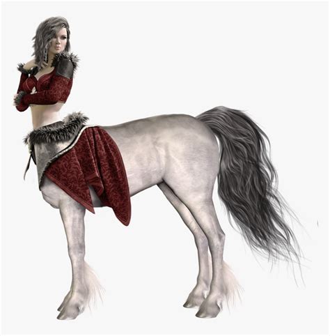 Centaur Png Transparent Png Kindpng