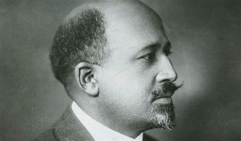 du bois afrocebrap