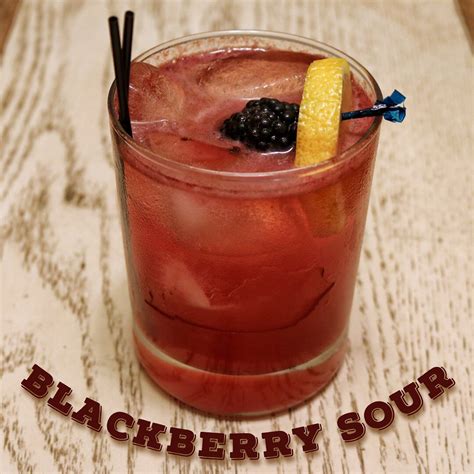 Blackberry Bourbon Sour Cocktail - Distilled Living