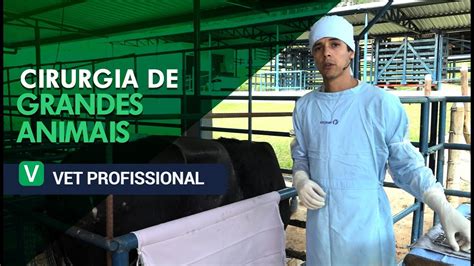 Cirurgia De Grandes Animais VET Profissional YouTube