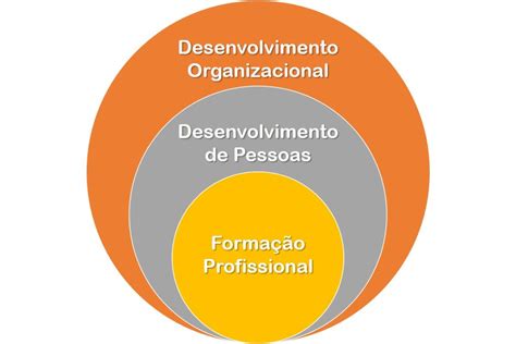 Desenvolvimento Organizacional Em 3 Passos Densisfor