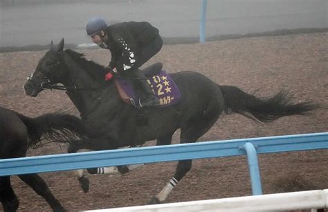 【オールカマー1週前追い】タイトルホルダー好時計 反撃の秋へ始動― スポニチ Sponichi Annex ギャンブル