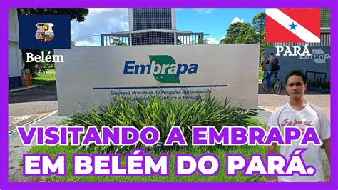 Fazendo uma visita a EMBRAPA em Belém do Pará 38 YouTube