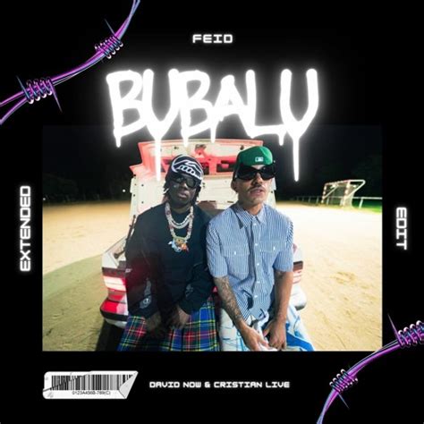 Stream Feid Rema Bubalu David Now And Cristian Live Extended Edit