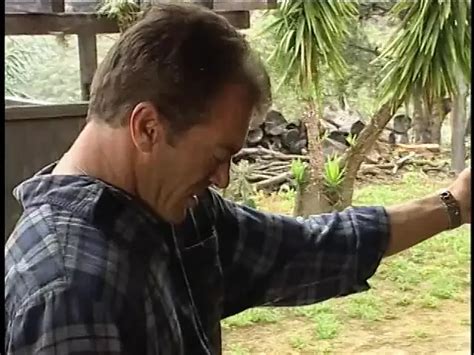 Lusty Nympho With Bouncy Tits Gets Deep Anal Drilling XHamster