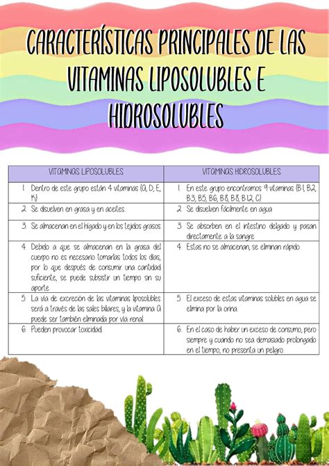 Diferencias Entre Vitaminas Hidrosolubles Y Liposolubles Axa Hot Sex